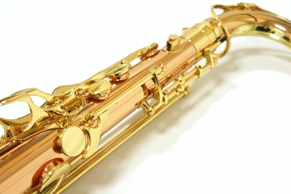 Tenor Saxophone T-WO2