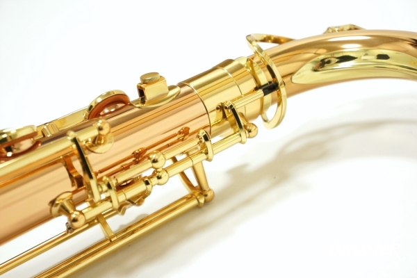 Tenor Saxophone T-WO2