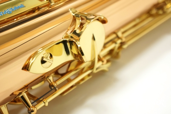 Tenor Saxophone T-WO2