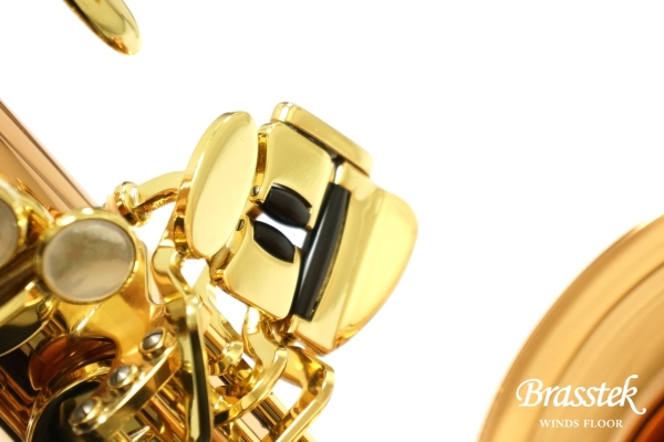 Tenor Saxophone T-WO2