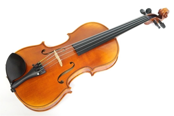 Violin V7SG 4/4