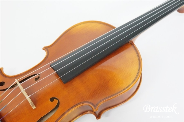 Violin V7SG 4/4
