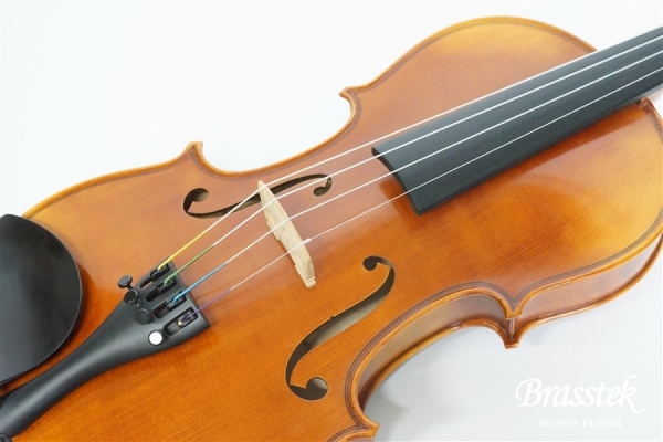 Violin V7SG 4/4