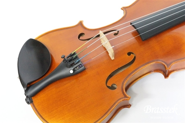 Violin V7SG 4/4