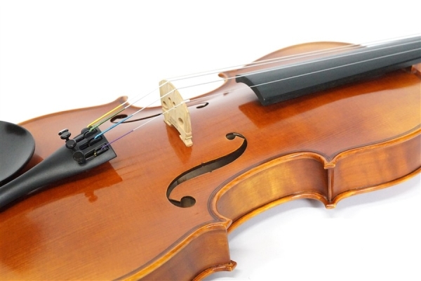 Violin V7SG 4/4