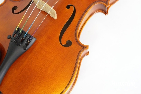 Violin V7SG 4/4