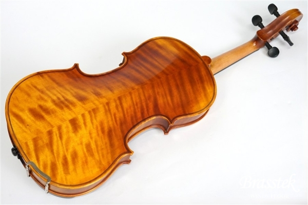 Violin V7SG 4/4