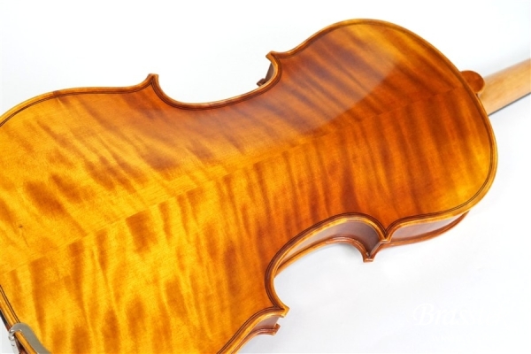 Violin V7SG 4/4