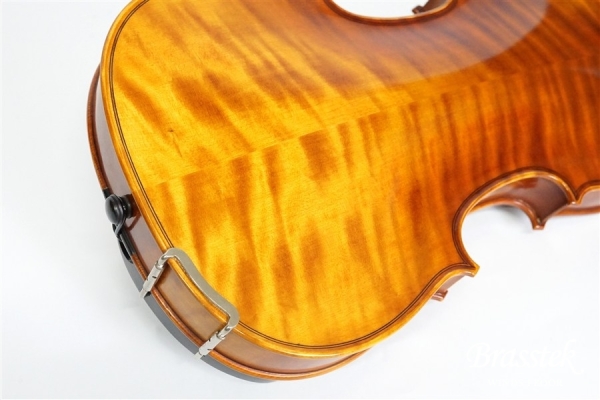Violin V7SG 4/4