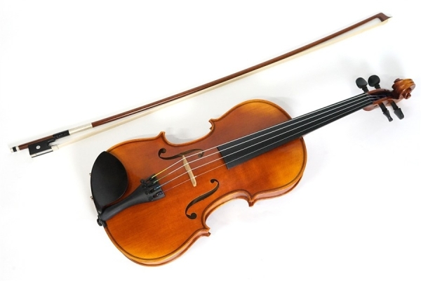 Violin V7SG 4/4