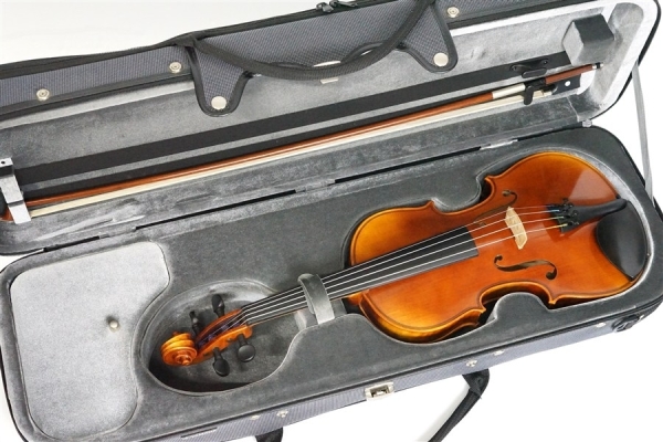 Violin V7SG 4/4