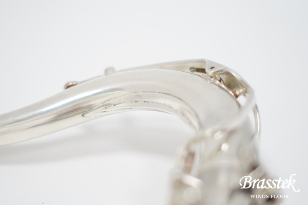 Tenor Saxophone SA80 SERIEⅡ SP