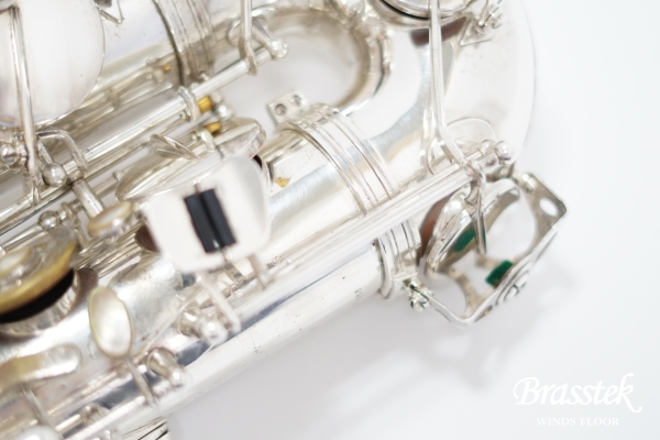 Tenor Saxophone SA80 SERIEⅡ SP