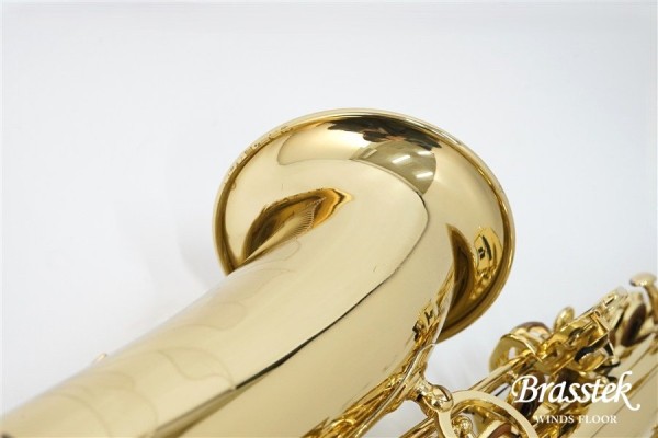 Axos Alto Saxophone / アルトサックス