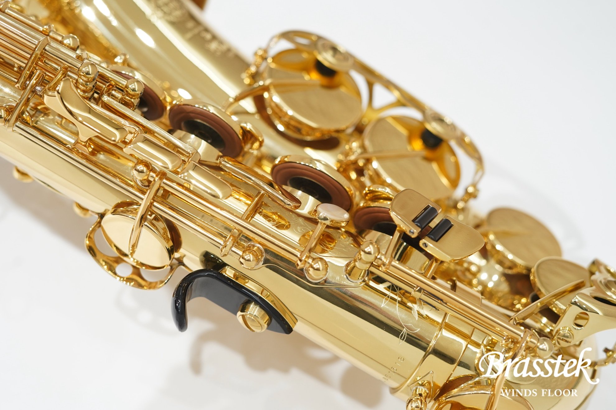 Alto Saqxophone SA80 SERIEⅡ JUBILEE/GL