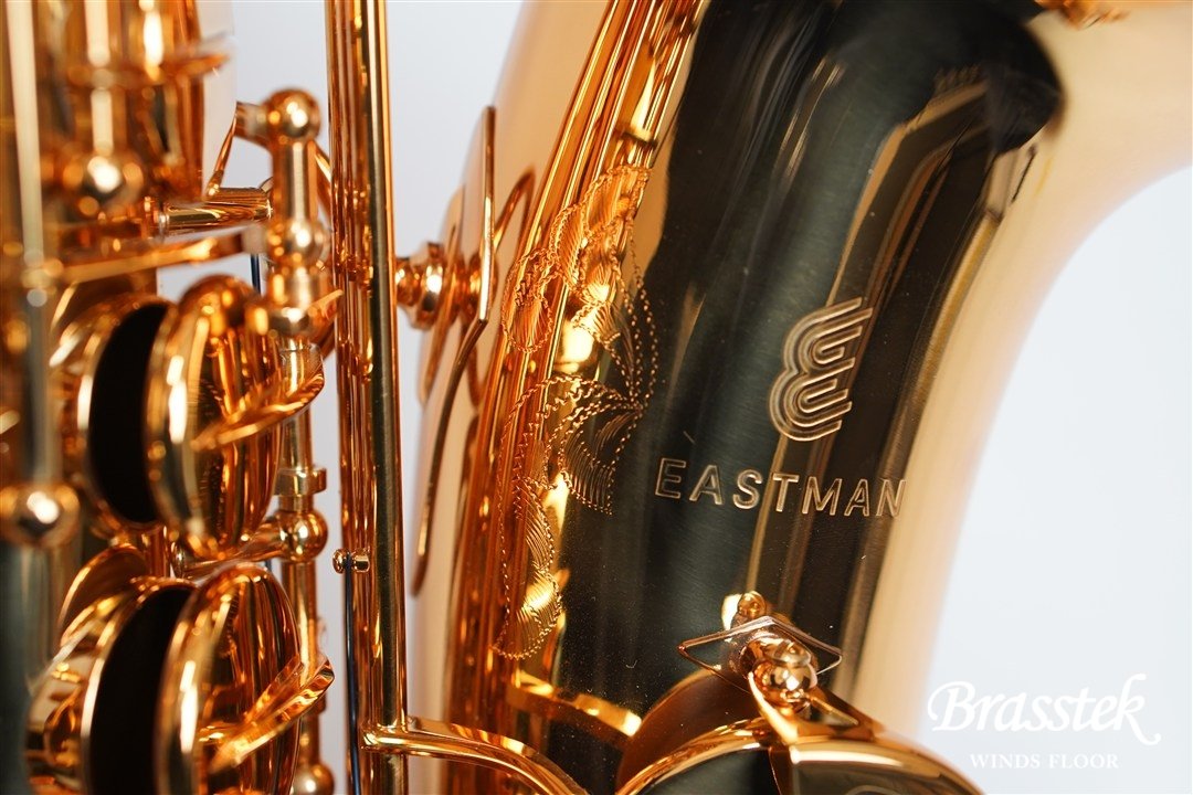 Alto Saxophone EAS652GL 碓井雅史氏選定品