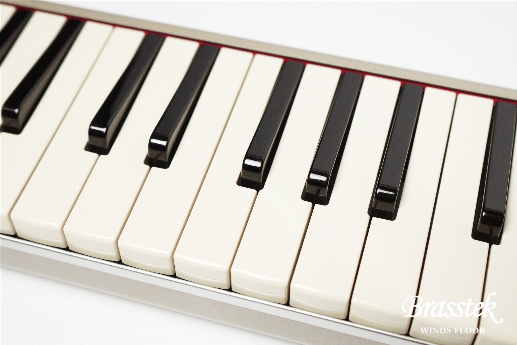 マイク内蔵モデル アルト HAMMOND PRO-44Hv2