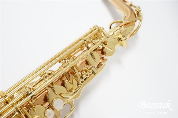 A-WO2 Alto Saxophone / アルトサックス