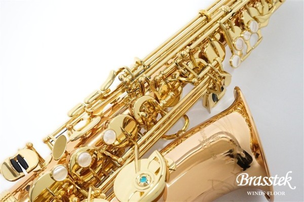 A-WO2 Alto Saxophone / アルトサックス