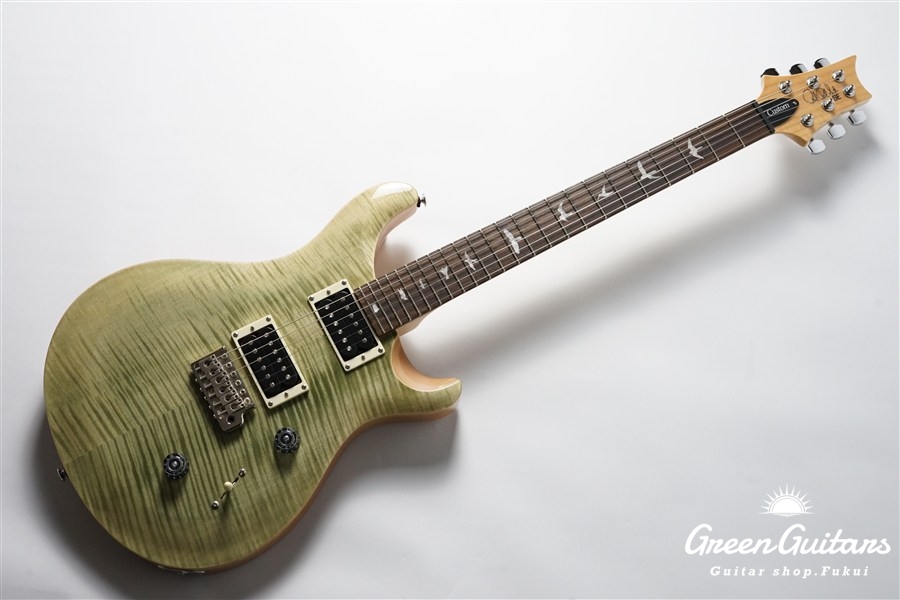 Paul Reed Smith(PRS) SE Custom 24 - Trampas Green | Green Guitars