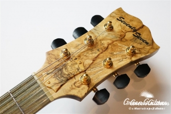 ALBATROSS-EWC-SE’19W BEB - ASH CN-MAT