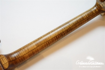 ALBATROSS-EWC-SE’19W BEB - ASH CN-MAT