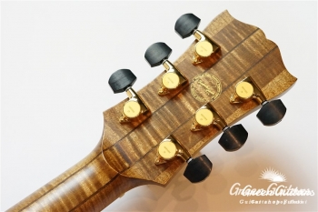 ALBATROSS-EWC-SE’19W BEB - ASH CN-MAT