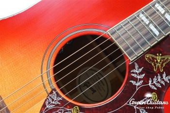 Hummingbird - Vintage Cherry Sunburst
