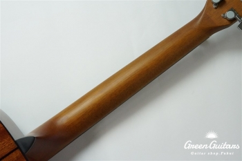 F-351I - See-Through Blue Burst