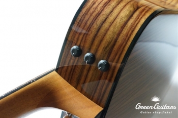 210ce Rosewood Plus