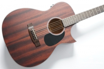 AF-101MHCE - Natural