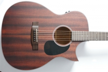 AF-101MHCE - Natural