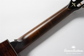 612ce 12Fret V-Class