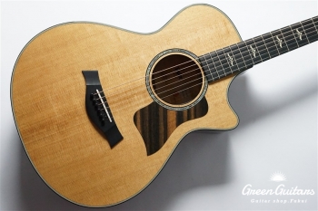 612ce 12Fret V-Class