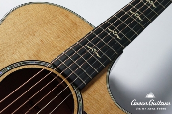 612ce 12Fret V-Class