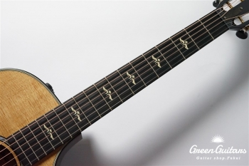 612ce 12Fret V-Class