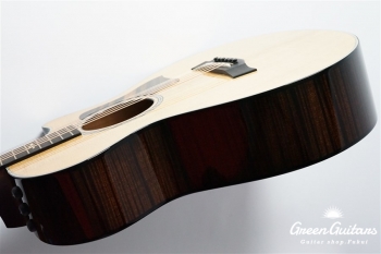 612ce 12Fret V-Class