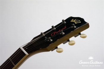 Portrait Line No.1 Special / TV Yellow #1 037