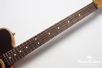 Acoustasonic Player Telecaster - Shadow Burst