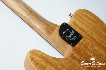 Acoustasonic Player Telecaster - Shadow Burst