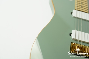 ARENA - Sonic Gray #387