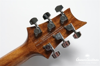 SE A40E - Tobacco Burst