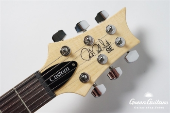 SE Custom 24 - Faded Blue Burst