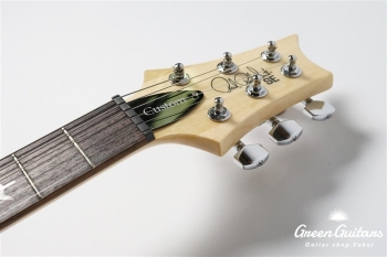 SE Custom 24 - Faded Blue Burst