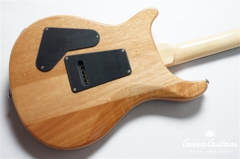 SE Custom 24 - Faded Blue Burst