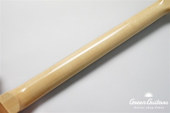 SE Custom 24 - Faded Blue Burst