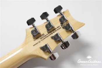 SE Custom 24 - Faded Blue Burst