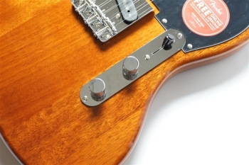 Paranormal Offset Telecaster Jazzmaster - Mocha