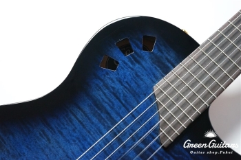 STAGE GUITAR LIMITED - BLUE BURST