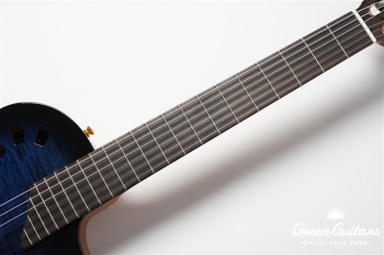STAGE GUITAR LIMITED - BLUE BURST